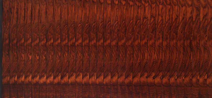 Abraham Palatnik. Progressão em jacarandá. Folhas de jacarandá. 80 x 125 cm