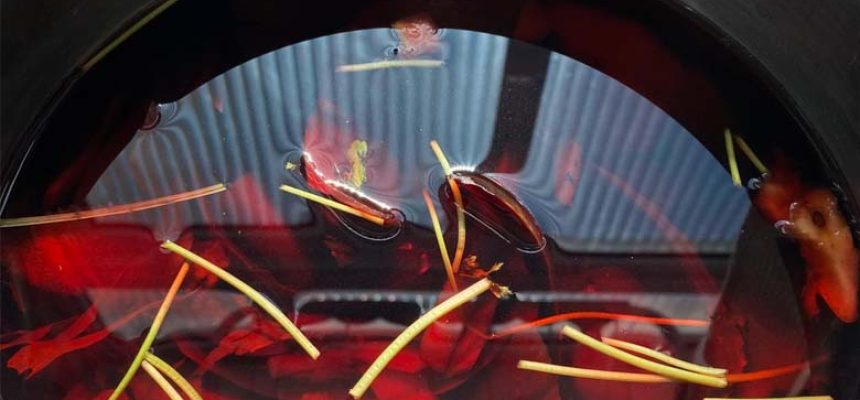 Foto de Paulo Portella Filho