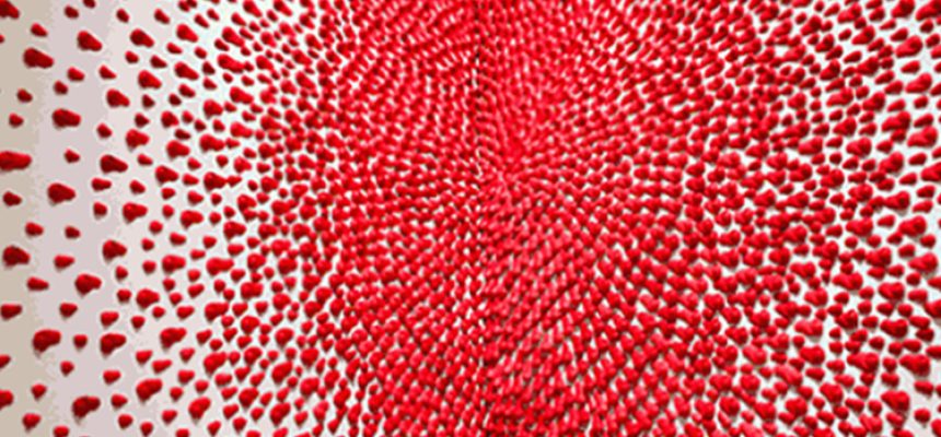 polarização violência 10