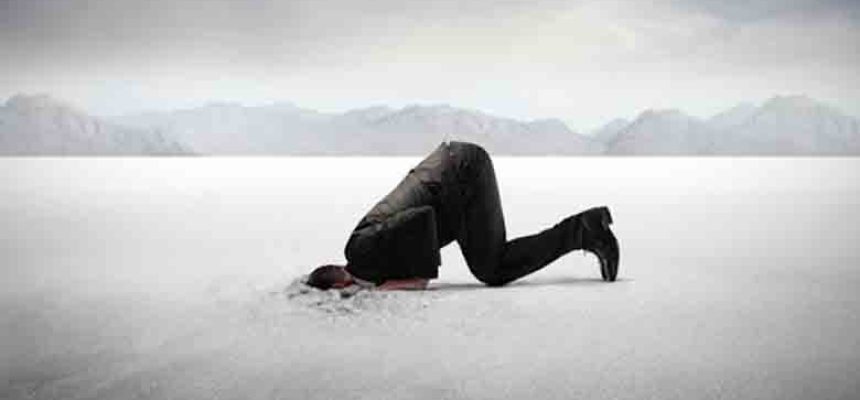 vergonha 11 155121 vergonha 11 155121